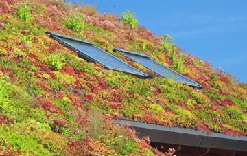 Pentre Llyn Cymmer living roof systems